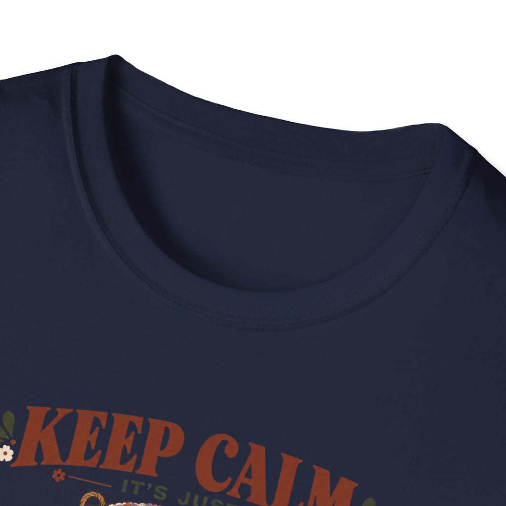 C'est juste un t-shirt "47 projets inachevés"