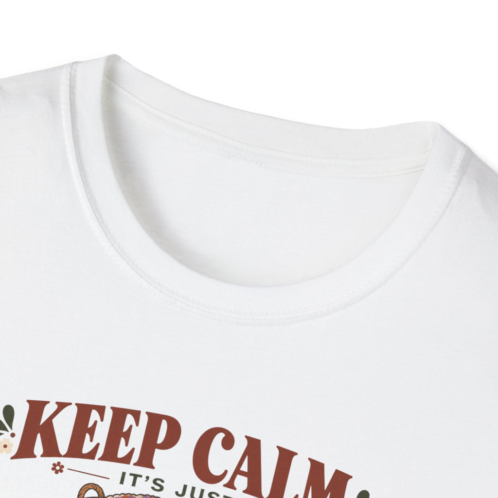 C'est juste un t-shirt "47 projets inachevés"