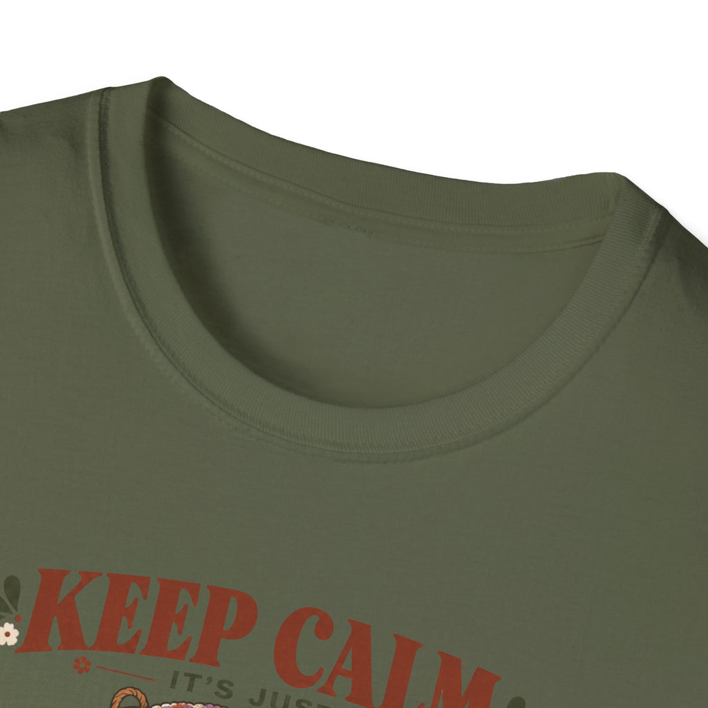 C'est juste un t-shirt "47 projets inachevés"