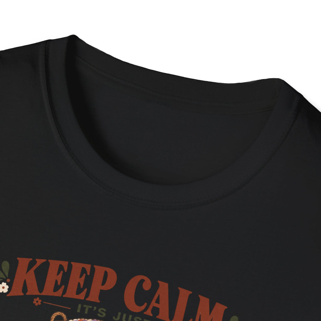 C'est juste un t-shirt "47 projets inachevés"