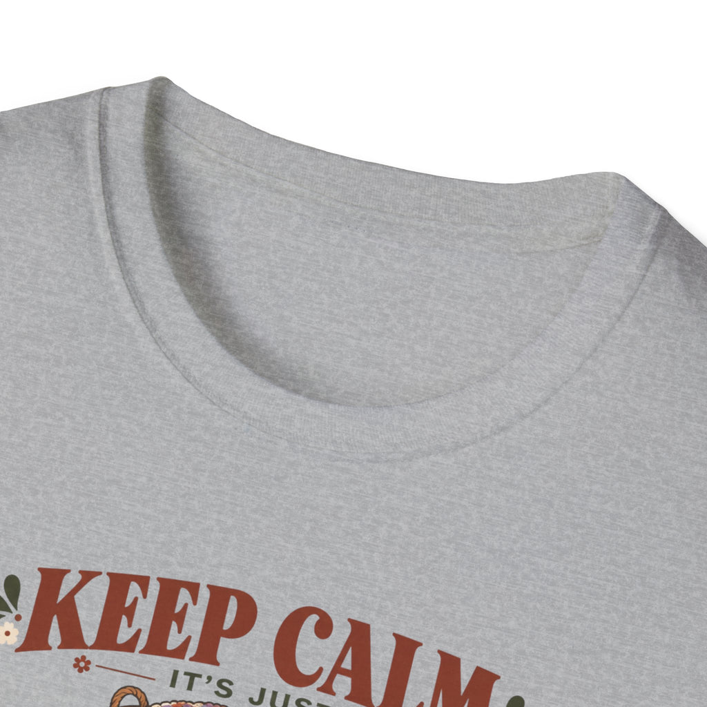 C'est juste un t-shirt "47 projets inachevés"